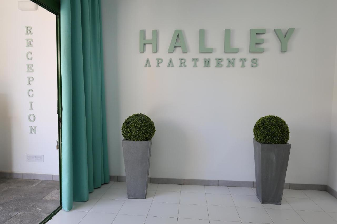 Halley Rooms Mogan Ngoại thất bức ảnh